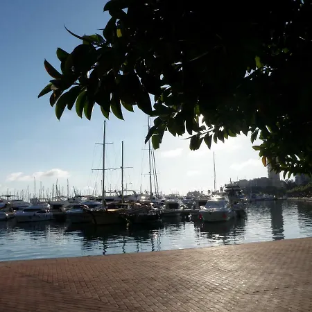 Sanfernando14 Alicante