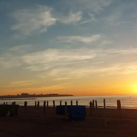 Sanfernando14 Alicante