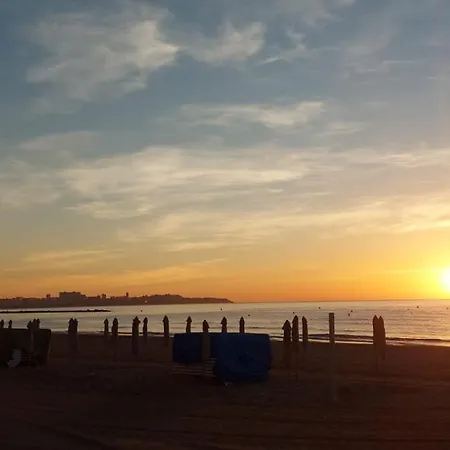 Sanfernando14 Alicante