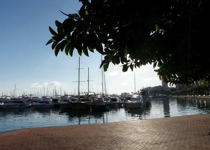 Sanfernando14 Alicante